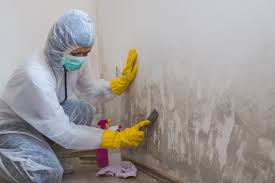 Best Commercial Mold Inspection  in USA